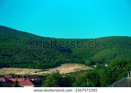 Landscape blue sky and green grass