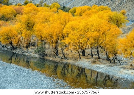 River side in autumn landscape
