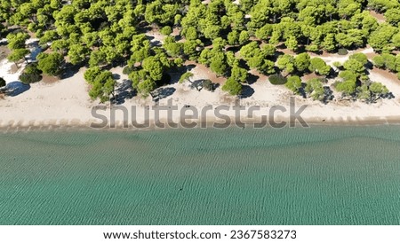 Aerial drone photo of scenic paradise beach of Schoinias or Schinias with rare pine trees in area of Marathon, Attica, Greece