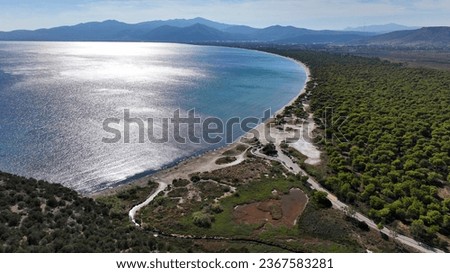 Aerial drone photo of scenic paradise beach of Schoinias or Schinias with rare pine trees in area of Marathon, Attica, Greece