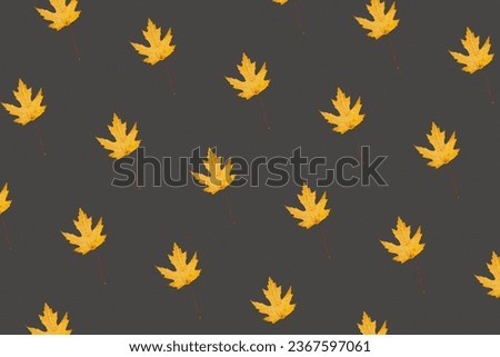 Orange fallen maple leaves pattern on grey background.