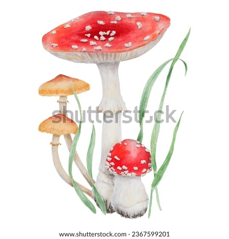 Red fly agaric, Galerina marginata and green grass. Watercolor hand drawn realistic botanical illustration with Amanita muscaria, Poisonius mushrooms clip art for eco goods, cards, posters, prints