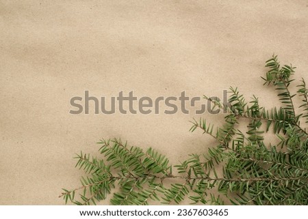 Green spruce branch on craft paper background with copy space. Christmas tree decoration. New year, winter holiday card. Fir, pine twig. Promotion of the poster sale or percent discount in the store