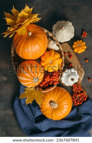 Autumn composition for Thanksgiving Day, still life background. Pumpkin harvest in basket, vegetables, patisson, autumn leaves, red berries on wooden table. Fall decoration design. Top view, flat lay