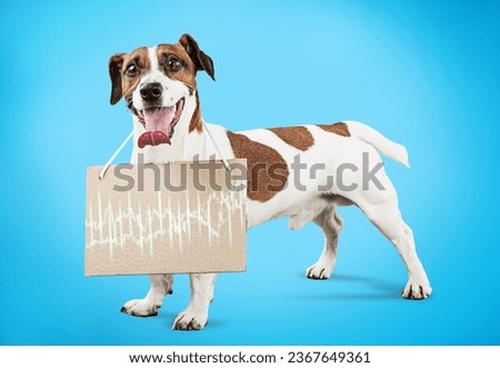 Cool successful funny dog holding statistics and analytics.