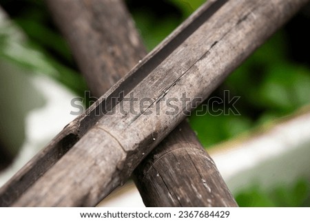 Bamboo fence close-up. Selective focus with shallow depth of field.