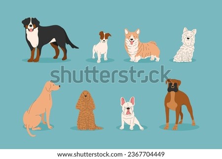 Dogs collection. Vector illustration of funny cartoon different breeds dogs in trendy flat style. French Bulldog, Rottweiler, Labrador, Boxer, Corgi. Cute small and big pets.