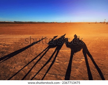 silhouette of people on camels in the desert, Morocco
