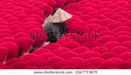 Vietnamese woman wearing conical hat is working for drying Incense sticks outdoor at yard