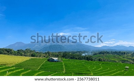 View of rice field and mountains at mojokerto, east java, indonesia Royalty-Free Stock Photo #2367738011