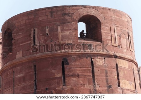 Architecture of Agra Fort. Agra Fort is a historical fort in Agra city, Uttar Pradesh state of India