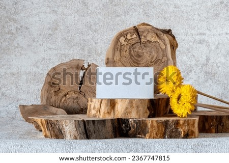 Template with cross sections of apple tree, yellow dried flowers, empty blank of business card. Stand for products cosmetics, food, jeweller or something else.