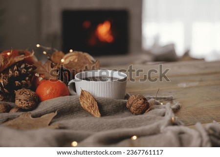 Cozy autumn. Warm cup of tea, pumpkins, autumn leaves, cones, cozy scarf and lights on rustic wooden table in farmhouse. Fall in rural home. Happy Thanksgiving. Fall hygge still life, banner