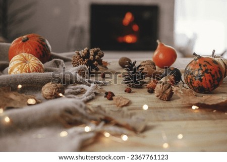 Hello autumn. Cute pumpkins, autumn leaves, cones, walnuts, cozy scarf and lights on rustic wooden table on background of fireplace in farmhouse. Fall in rural home. Happy Thanksgiving