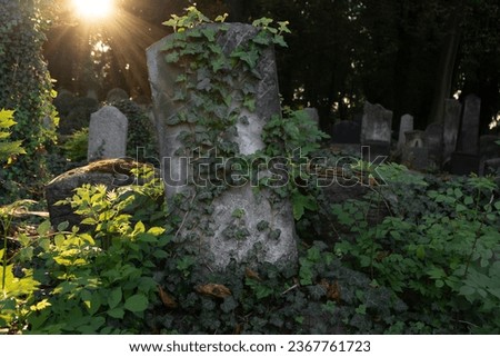 Old cemetery with many weathered, gray stone tombstones. Aged tombstone in the graveyard exude an eerie atmosphere. Spooky necropolis, burial ground or gravesite. Royalty-Free Stock Photo #2367761723