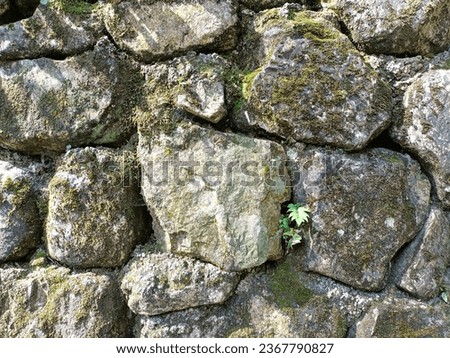 Photo of a stone wall with green moss