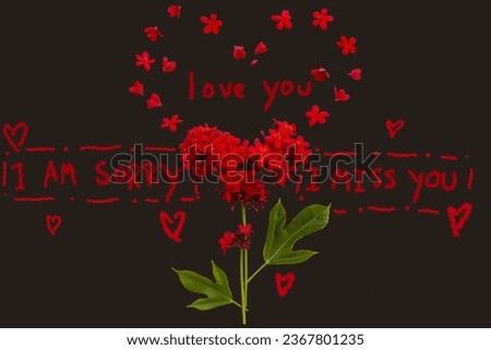 i am sorry, love you, i miss you message card handwriting with red flowers rubiaceae arrangement flat lay hearts style on background black