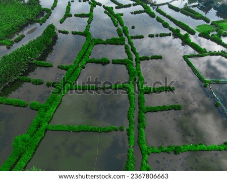 Landscape of abandoned aquaculture ponds in rural Vietnam taken from the air.  Concept of rivers and lakes and peaceful beauty.