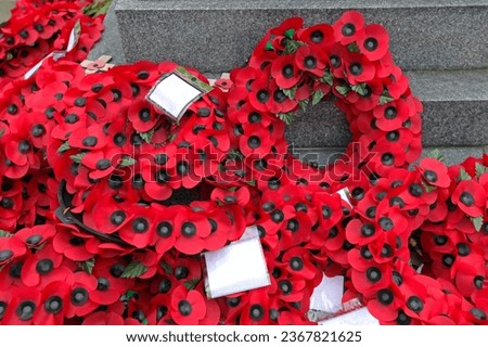 Red Plastic Poppy Flowers Remembrance Wreaths at War Monument
