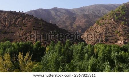 Close-up of contrasting red and orange earth rocky mountain peaks, with forest area, natural beauty, morning, sunrise, strong natural lighting, cultural exploration, desert area, Atlas Morocco Royalty-Free Stock Photo #2367825311