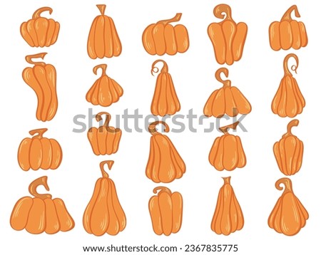 Color pumpkin of various shapes and colors set. Thanksgiving and Halloween vegetable clip art collection. Autumn orange food, vector illustration
