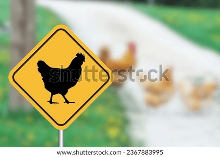Chicken Crossing Sign for Caution