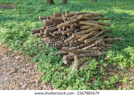 A pile of sawn dry trees and branches in a park or forest. Dry twigs pile ready for campfire, sticks, brushwood Royalty-Free Stock Photo #2367885679