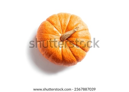 Pumpkin isolated on white background. Orange organic pumpkin, design element.