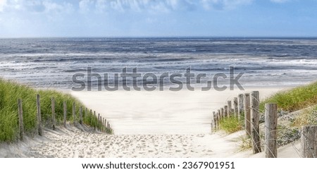 Panoramic Ocean Landscape: Tranquil Beauty of Beach and Horizon