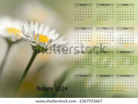 Bellis perennis, daisy, for flower lovers to print on the wall or on the monitor surface. A beautiful flower on an interesting blurred background of a blooming meadow as a 2024 calendar background.