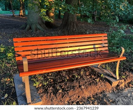 Wooden bench in the park. Evening light.
