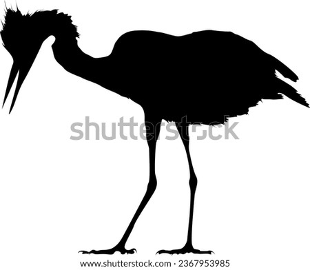 Stork Bird Silhouette Vector Art