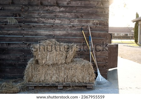 hay and rake for harvesting on a horse farm
