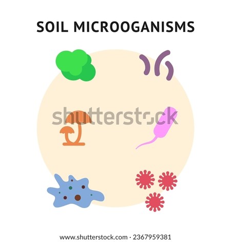 Soil microorganisms flat design vector. Royalty-Free Stock Photo #2367959381