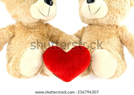  two teddy Bear with Heart on white background,concept valentine