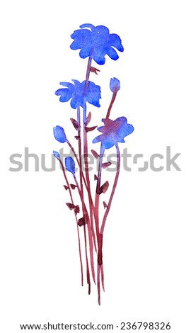beautiful blue flower watercolor hand-painted, isolated on white