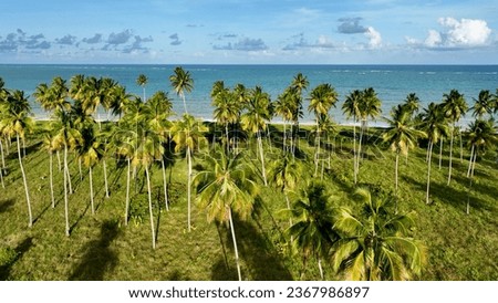 Sao Miguel dos Milagres Beach at Alagoas Brazil. Miracle Route at Alagoas Brazil. Tropical travel destination. Northeast Brazil. Royalty-Free Stock Photo #2367986897