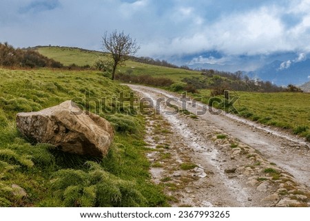 Landscape after the rain near the "Riserva Naturale Orientata Bosco di Malabotta" on the island of Sicily, Italy