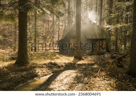 Small wooden cabin in the forest with chimney and some smoke coming out of it.  Royalty-Free Stock Photo #2368004691