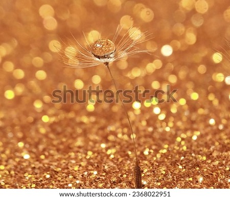 Beautiful Nature Background.Gold background. Floral Art Design.Abstract Macro Photography.Dandelion Flowers.Creative Artistic Wallpaper.