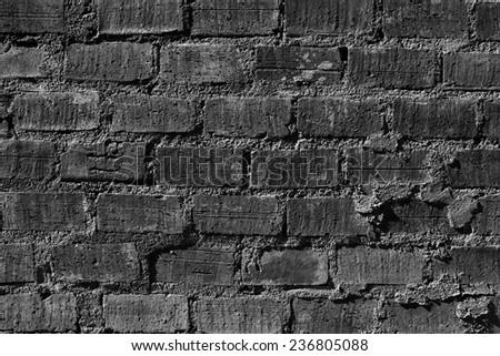 The monochrom brick wall in a background.