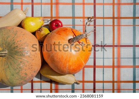 Orange pumpkin, apple, pear, zucchini lie on a table covered with a colorful checkered tablecloth. Autumn season concept. Healthy eating, organic food. Copy space. Space for text. Flat lay. Top view