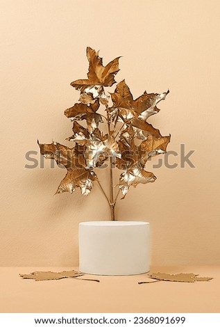 Golden maple leaves on premium pastel background with empty podium for product showcase,Creative autumn composition with minimal autumn concept, screen banner with place for text. Happy Thanksgiving 
