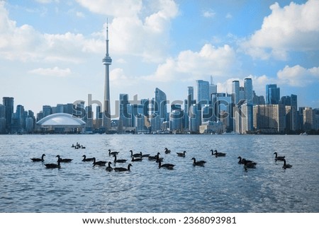 Beautiful view of Rogers Centre and CN Tower in Toronto, Canada Royalty-Free Stock Photo #2368093981