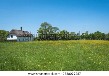 Thatched cottage on the edge of a field full of buttercups in Devon on a beautiful summer day Royalty-Free Stock Photo #2368099267