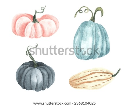 Watercolor pumpkin set, floral pumpkins, Halloween clip art, autumn design elements, fall arrangement of blue, pink and white pumpkins. Harvest illustration isolated on white background