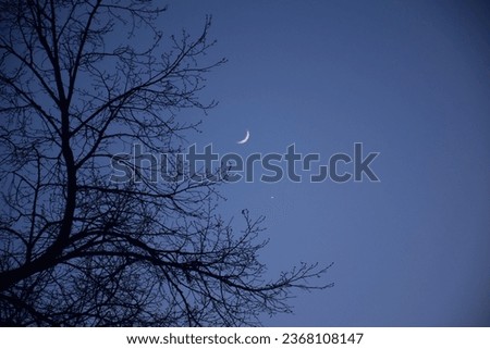 Crescent Moon in Night Sky. Stock Image