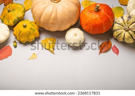 Thanksgiving or fall festive composition with different assorted pumpkins and autumn yellow leaves on light gray background top view. Copy space.