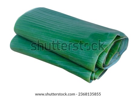 Folded green banana leaves isolated on white background. Concept, package container from nature, safe for wrapping food. Eco friendly and safety for consumers.                                   