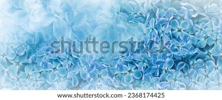 Floral  spring background. Lilac flowers background. Nature.